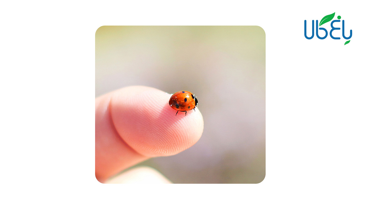 گوشی سامسونگ Galaxy A51